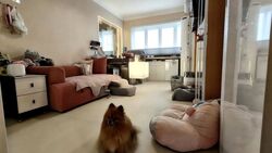 Blk 495B Tampines Street 43 (Tampines), HDB Executive #633773961
